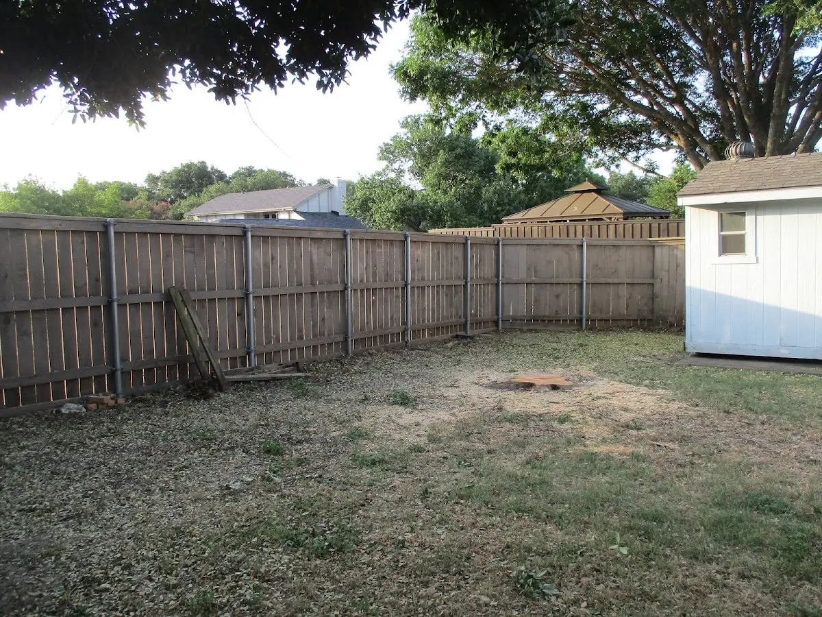 Cleared yard after professional tree removal in Neeses